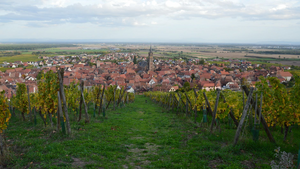 Chauffagiste Lingolsheim